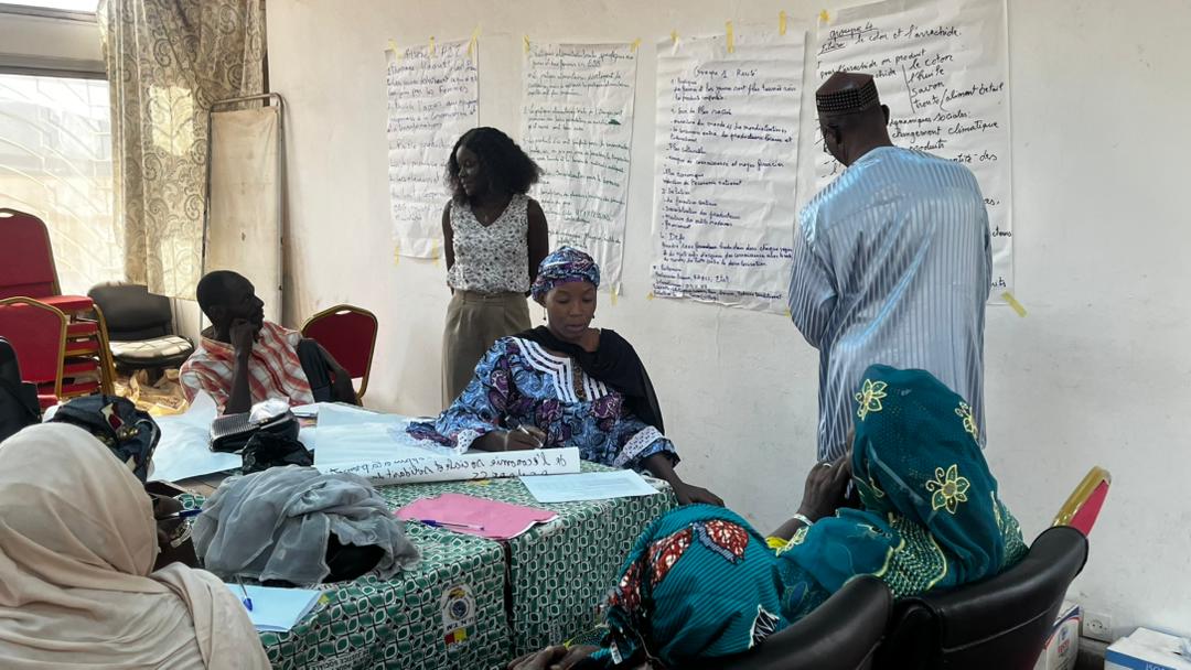 Renforcement des réseaux