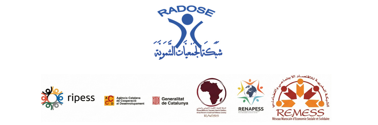 Projet « Réinitialisation à partir d’une approche intersectionnelle de la mise en œuvre de la résolution de l’ONU sur la promotion de l’économie sociale et solidaire au service du développeme